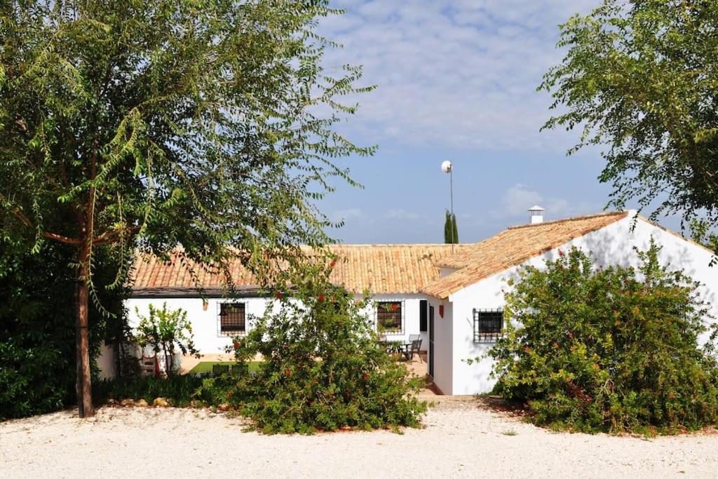 Casa Rural La Linana Villa Cordoba Exterior photo